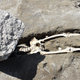 The skeletal remains of the Pompeii victim.